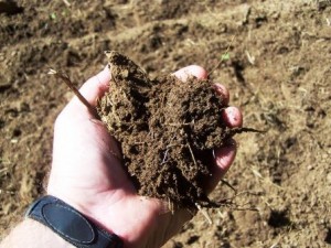 soil testing & analysis